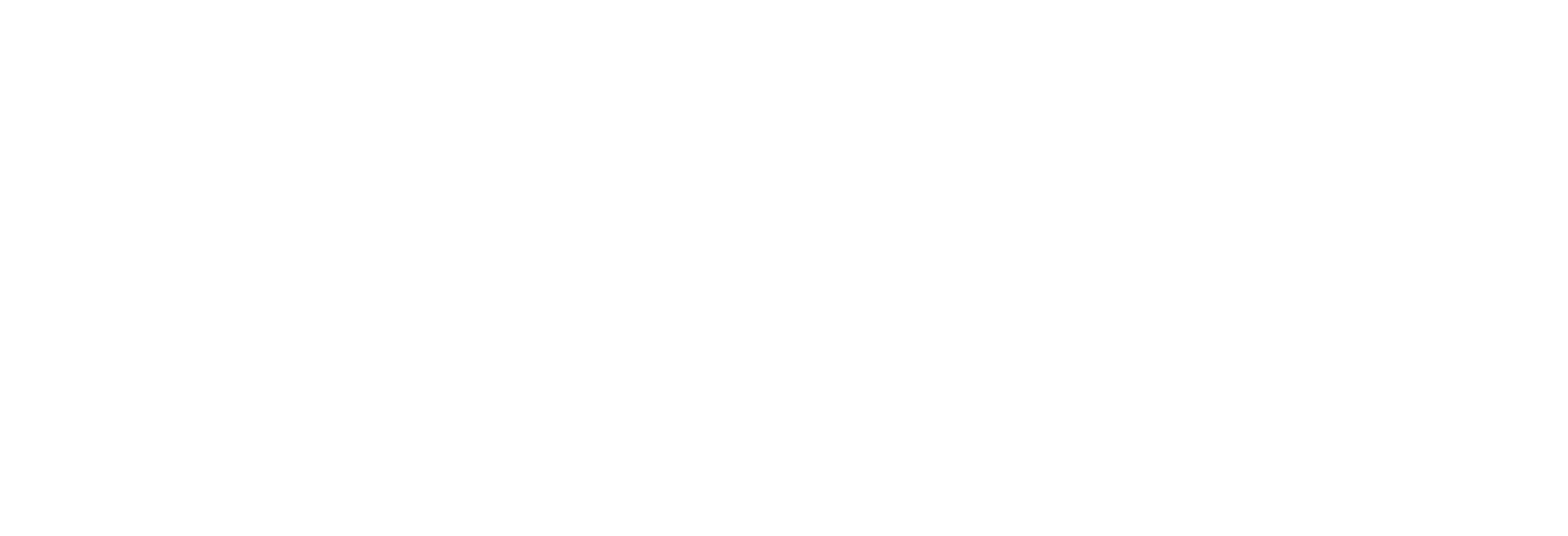 Logo-Critizr-White
